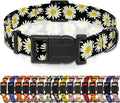 Dog Collar, Daisy Boys Girls Puppy Collar for Small Medium Large Dogs, Adjustable Soft Floral Pet Collar with Safety Buckle for Male Females(Black Daisy,S)