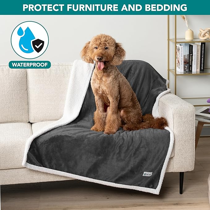 PetAmi Waterproof Dog Blanket for Medium Large Dog Puppy Cat Throw for Couch Cover Leakproof Protection, Sherpa Fleece, Reversible Soft Washable 60x40 Charcoal Gray