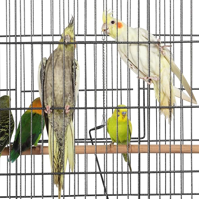 Topeakmart X-Large Parrot Cage Bird Cage with Rolling Stand for Medium Birds Cockatiels Quaker Green Cheek Sun Conure African Grey, 60.5inch