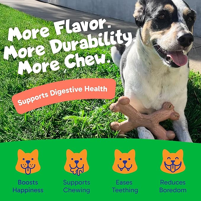 Chew’EMS X Bone Dog Chew Toy for Aggressive Chewers – Long-Lasting Chicken Flavor Nylon Bone – Durable, Rawhide-Free Dental Toy - Large Size – Made in USA