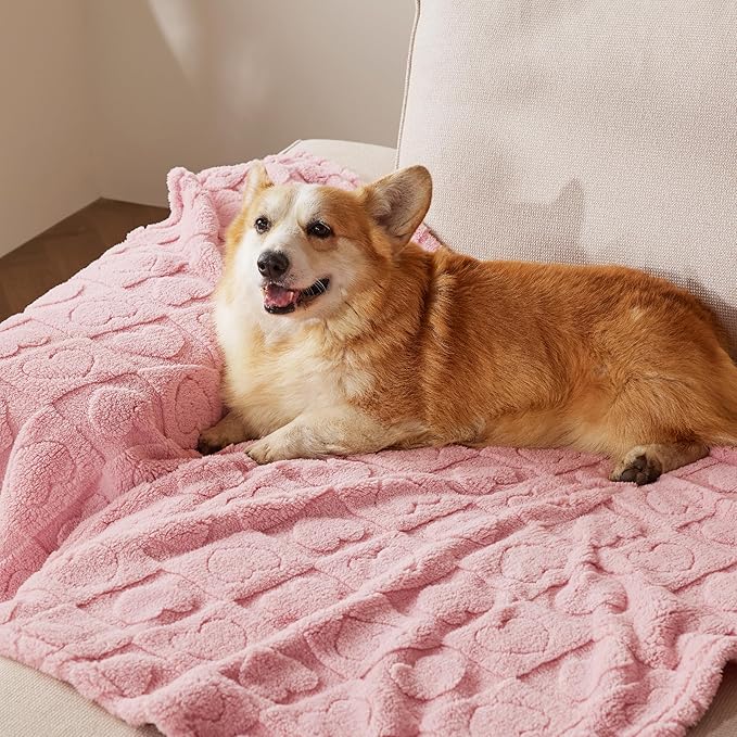 Bedsure Dog Blanket for Large Dogs Washable - Fluffy Fuzzy Puppy Cat Blanket with Premium 300GSM Coral Fleece Soft for Pet Kitten Doggy, Pink, 40x50IN