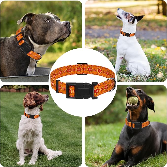 Dog Collar, Classical Indian Spirit Boys Girls Puppy Collar for Small Medium Large Dogs, Adjustable Soft Indian Pet Collar with Safety Buckle for Male Females(Orange, XL)