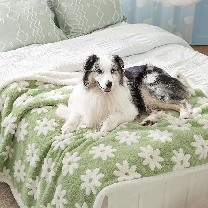 LE SURE Waterproof Dog Blanket for Large Dogs - Washable Double Sided Dog Blankets with Warm Jacquard Shag and Soft Sherpa Fleece, Pet Cat Blanket for Bed Couch Protection, 3D Textured Cloud, Green