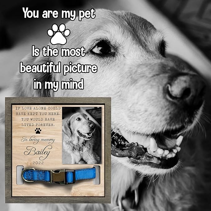 Pet Memorial Gifts Bereavement Gifts Cat Memorial Dog Loss Sympathy Custom Cat Picture Collar Frames Keepsakes Death Remembrance Funerary Decor Wall Best Dog Ever