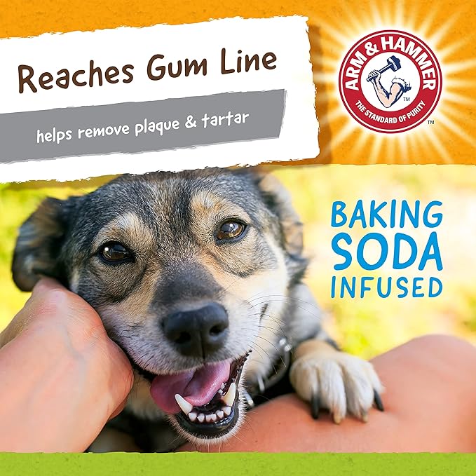 ARM & HAMMER for Pets Nubbies Duality Bone Dental Dog Toy- Best Dog Chew Toy for Moderate Chewers- Dog Dental Toy Helps Reduce Plaque & Tartar- Green Apple Flavor Baking Soda (Pack of 8)