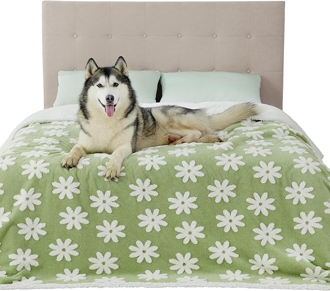LE SURE Waterproof Dog Blanket for Large Dogs - Washable Double Sided Dog Blankets with Warm Jacquard Shag and Soft Sherpa Fleece, Pet Cat Blanket for King Bed Protection, 3D Textured Flower, Green