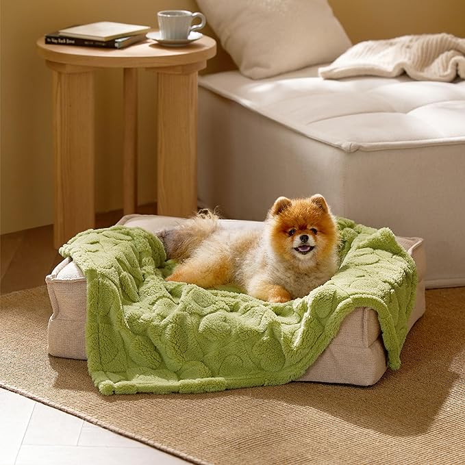 Bedsure Dog Blanket for Small Dogs Washable - Fluffy Fuzzy Puppy Cat Blanket with Premium 300GSM Coral Fleece Soft for Pet Kitten Doggy, Green, 25x35IN