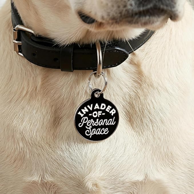 Bad Tags Personalized Dog and Cat ID Tags in 25+ Designs and 2 Sizes - 5 Lines of Custom Engraved Text - Funny Cute Personalized Pet Tags (Invader of Personal Space - Black, Small (1 inch))