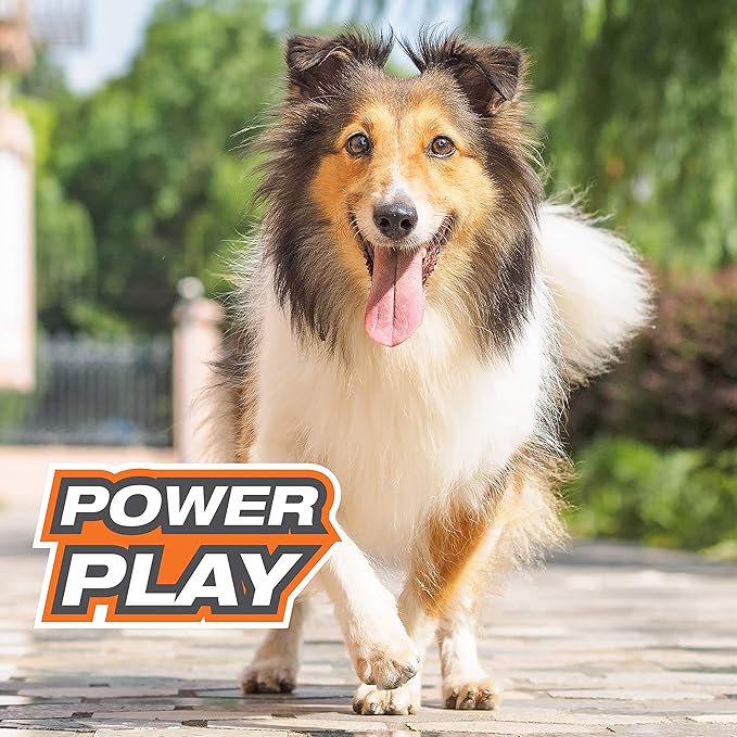 Nylabone Power Play Gripz Felt Basketball Rubber Fetch Toy, Squeaky Ball for Dogs, Medium (1 Count) (Pack of 2)