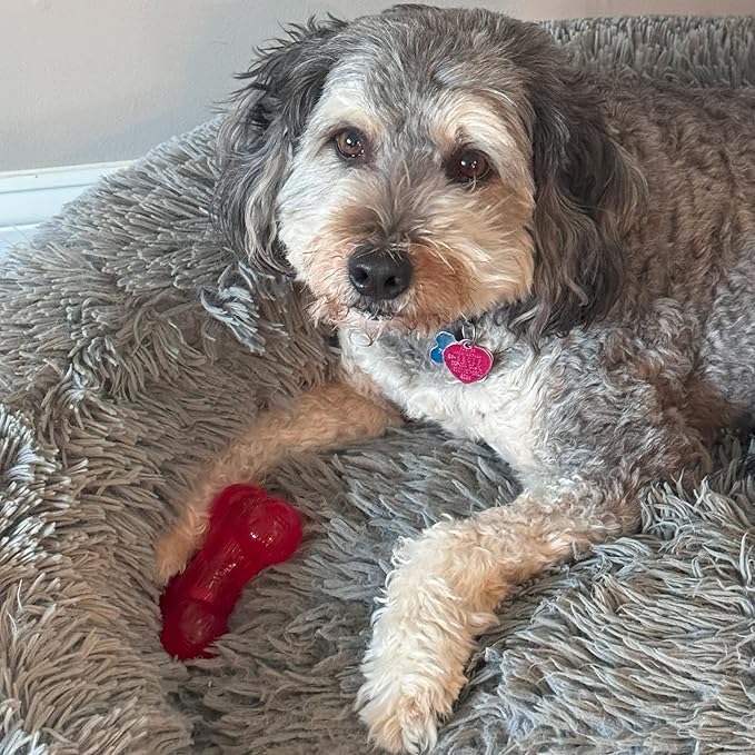 SPOT Play Strong Bone- Durable TPR Long Lasting Dog Chew for Aggressive Chewers, Hole for Treats, Virtually Indestructible Toy for Small and Medium Dogs & Puppies - 4.5 inch