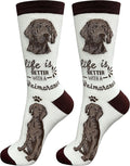 E&S Pets Pet Lover Socks - Dog & Cat Socks - Unisex Novelty Gifts
