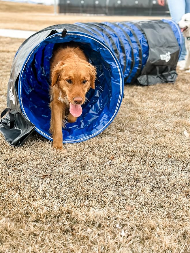 Better Sporting Dogs 10 Foot Heavy Duty PVC Tunnel with Sandbags | Dog Agility Equipment | Dog Agility Training