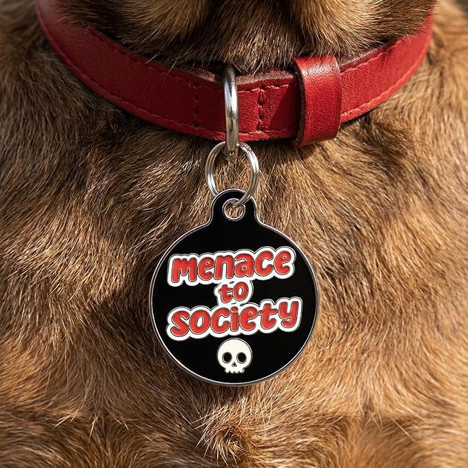 Bad Tags Personalized Dog and Cat ID Tags in 25+ Designs and 2 Sizes - 5 Lines of Custom Engraved Text - Funny Cute Personalized Pet Tags (Menace to Society, Large (1.25 inch))