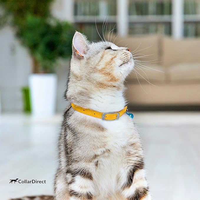 CollarDirect Leather Cat Collar, Cat Safety Collar with Elastic Strap, Kitten Collar with Bell Black Blue Red Orange Lime Green (8-11 Inch, Yellow)