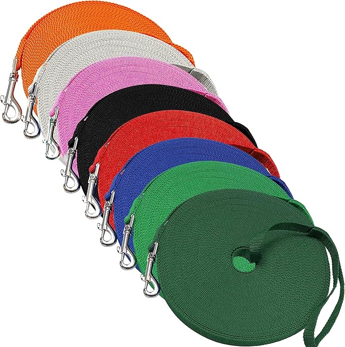 Downtown Pet Supply - Long Dog Training Leash for Recall & Obedience - Nylon, 30 ft, Hunter Green