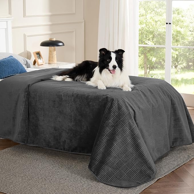 Bedsure Waterproof Bed Cover for Dogs Washable - Waterproof Blanket for Twin Bed Couch Sofa Cozy, Lightweight Furniture Protector for Pet Cat Quick Drying, Charcoal, 68x82IN