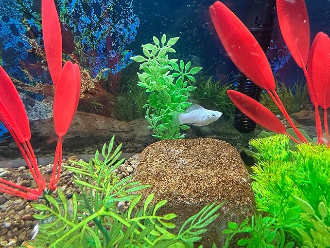 Aquarium Stone for Natural Water Clarification and Odor Removal Featuring Beneficial Bacteria (Small)