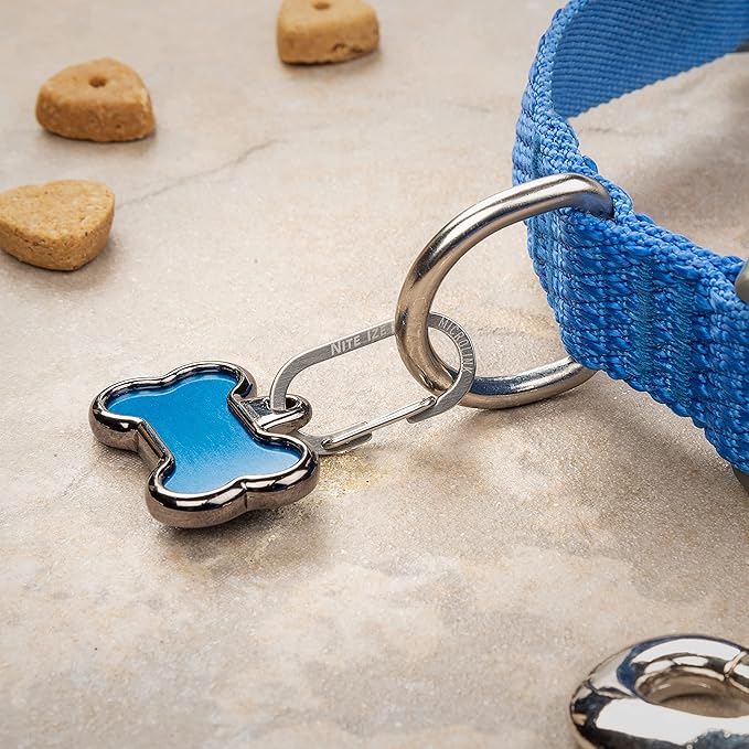 Nite IZE MicroLink Pet Tag Carabiner, Stainless Steel Cat and Dog Tag Clip, 2 Count (Pack of 1)