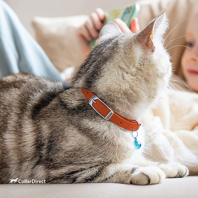 CollarDirect Leather Cat Collar, Kitten Collar with Removable Bell Black Blue Red Orange Lime Green (8-11 Inch, Orange)