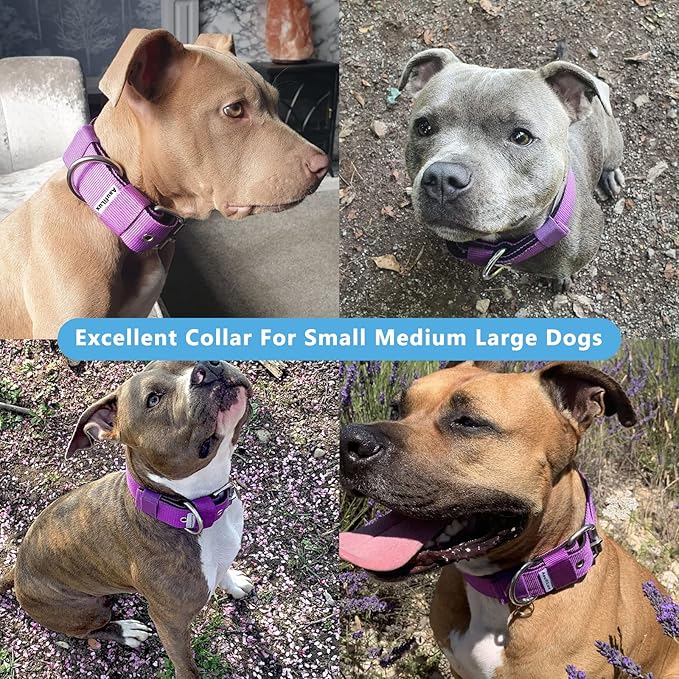 Heavy Duty Tactical Dog Collar - 1.5" Width Military Durable Thick Nylon with Adjustable Metal D Ring & Buckle Working Training K9 Collar for Medium Large Dogs (S(14"-17"), Purple)
