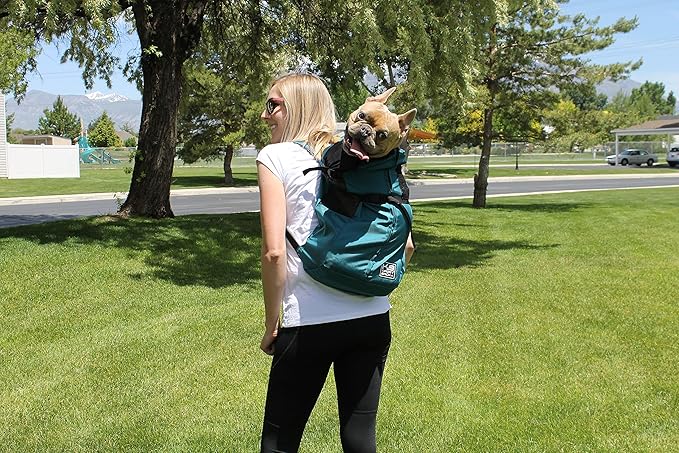 K9 Sport Sack Trainer - Large, Harbor Blue - Ideal for Dogs with 20-22” Back Length - Backpack-Style Training Carrier - Meant for Quick, Non-Strenuous Activities