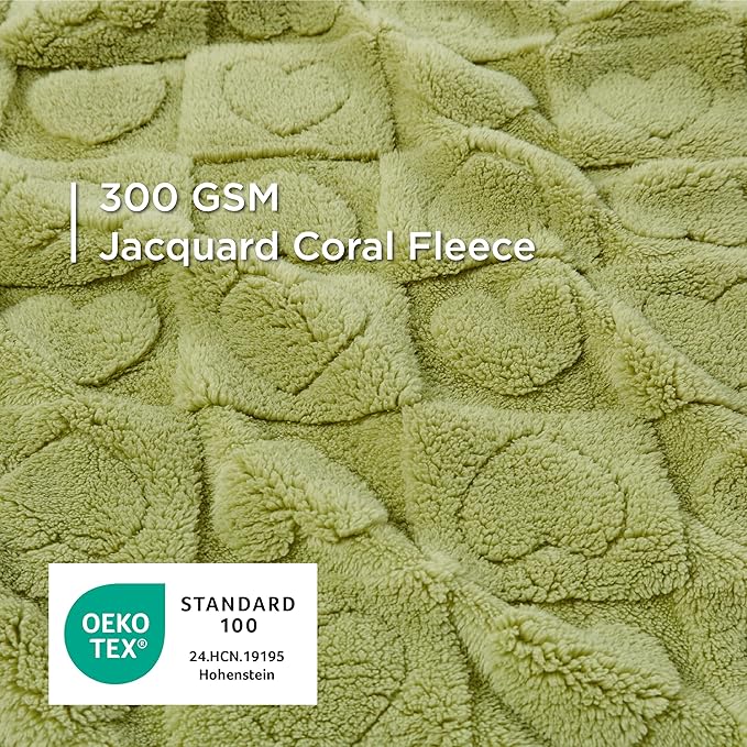 Bedsure Dog Blanket for Small Dogs Washable - Fluffy Fuzzy Puppy Cat Blanket with Premium 300GSM Coral Fleece Soft for Pet Kitten Doggy, Green, 25x35IN