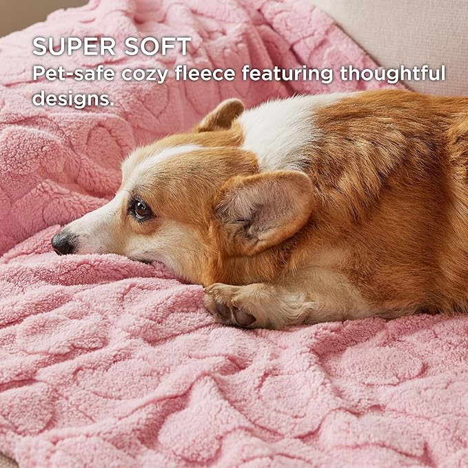 Bedsure Dog Blanket for Medium Dogs Washable - Fluffy Fuzzy Puppy Cat Blanket with Premium 300GSM Coral Fleece Soft for Pet Kitten Doggy, Pink, 30x40IN
