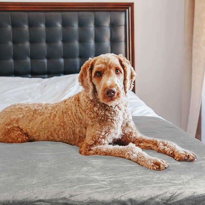PETMAKER Dog Blanket - 60x80in Reversible Sherpa Blanket - Throw Blankets for Bed, Couch, Crate, or Car - Machine Washable Puppy Essentials (Gray)