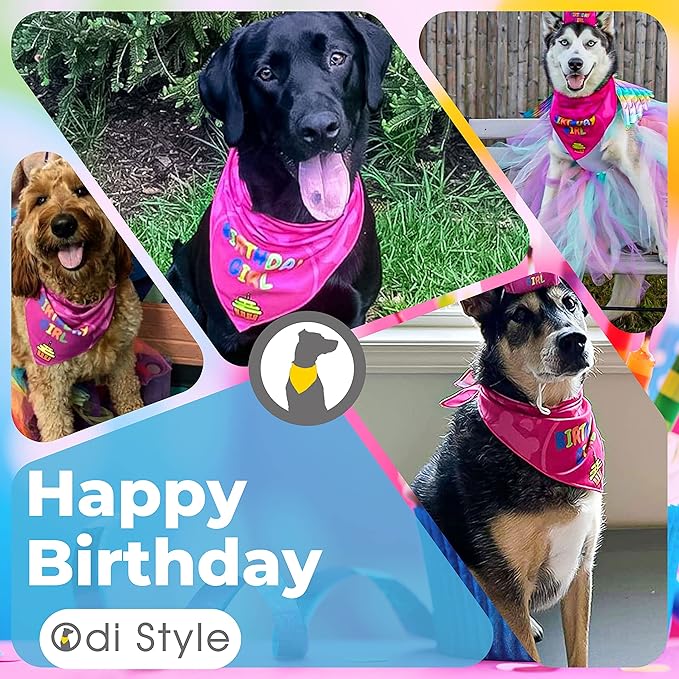Dog Birthday Bandana - 2 Pack Boy Girl Bandanas for Dogs Puppy Birthday Party Decorations, Small