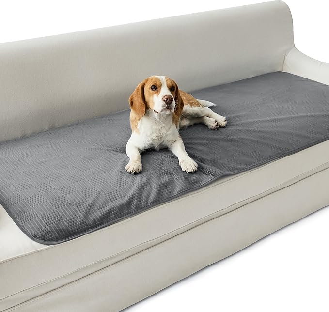 Bedsure Waterproof Couch Cover for Dogs Washable - Waterproof Blanket for Couch Sofa Cozy, Lightweight Furniture Protector for Pet Cat Quick Drying Puppy, Ash Grey, 30x70IN