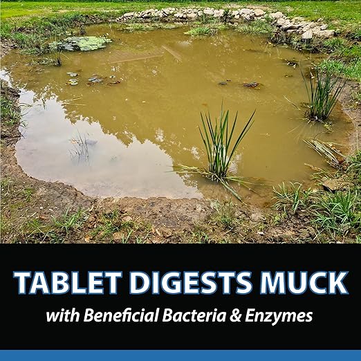 CrystalClear MuckOff, Natural Pond Muck Treatment, Water Garden, Fountain & Bird Bath Sludge Remover, Living Beneficial Bacteria Clarifier with Enzyme, Fish, Aquatic Animal, & Pet Safe, 24 Tablets