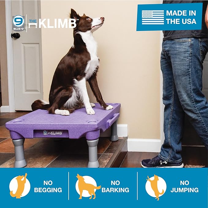 Blue-9 Pet Products KLIMB Dog Training Platform and Agility System, Durable and Portable for Indoor or Outdoor Use, Made in The USA, Tan