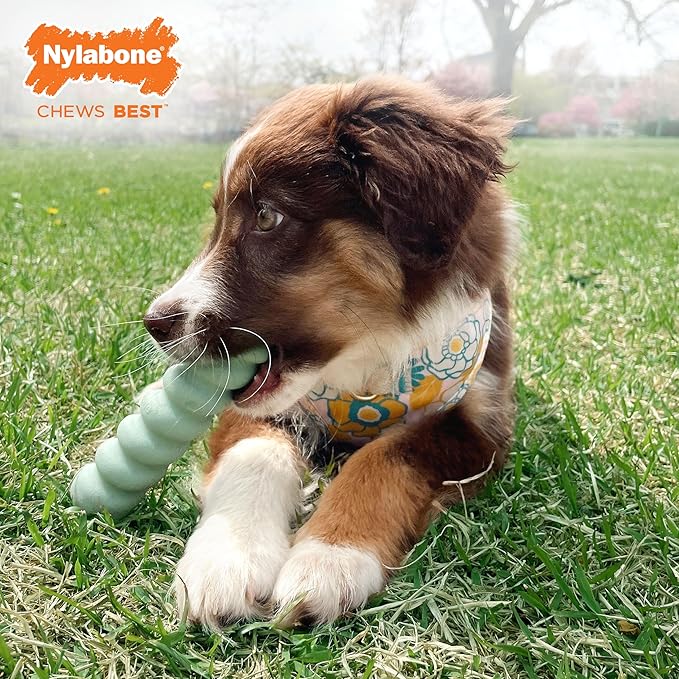 Nylabone Sensory Material Soothing Puppy Chew Toy Bundle, Toys for Teething Puppies, Peanut Butter and Chicken Flavor, Small - Up to 25 lbs, 2 Pack