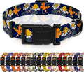 Dog Collar with Butterflies Print, Daisy Boys Girls Puppy Collar for Small Medium Large Dogs, Adjustable Soft Floral Pet Collar with Safety Buckle for Male Females(Blue Butterfly,XS)