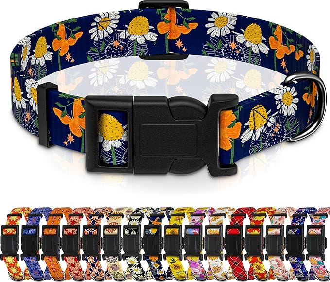 Dog Collar with Butterflies Print, Daisy Boys Girls Puppy Collar for Small Medium Large Dogs, Adjustable Soft Floral Pet Collar with Safety Buckle for Male Females(Blue Butterfly,XS)