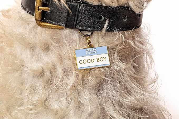 Two Tails Pet Company Personalized 'Good Boy' Pet ID Tag & Collar Charm - Custom Engraved Dog Tags for Pets - Luxury Brass, Gold Plating