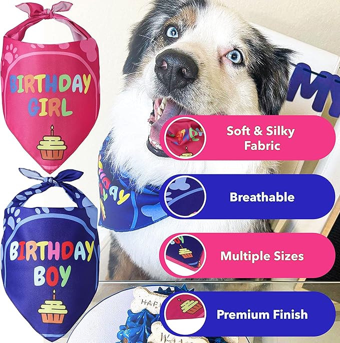 Dog Birthday Bandana - 2 Pack Boy Girl Bandanas for Dogs Puppy Birthday Party Decorations, Small