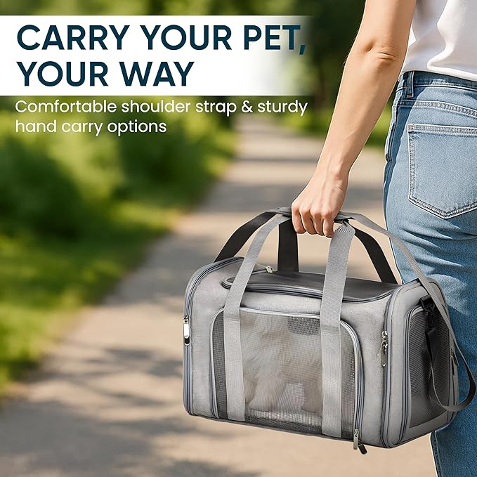 Pet Travel Carrier Bag – Airline Approved Soft-Sided Dog & Cat Carrier, Foldable, Breathable Mesh, Washable Pad – Fits Pets up to 15 lbs – The Pup Quartet (Grey)