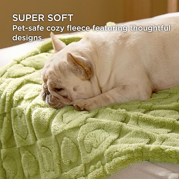 Bedsure Dog Blanket for Medium Dogs Washable - Fluffy Fuzzy Puppy Cat Blanket with Premium 300GSM Coral Fleece Soft for Pet Kitten Doggy, Green, 30x40IN