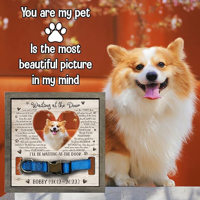 Personalized Pet Memorial Gifts Dog Memory Gifts Cat Memorial Frame Dog Died Sympathy Gift Pet Memorial Plaques Personalized For Pet That Passed Cat Picture Frame Best