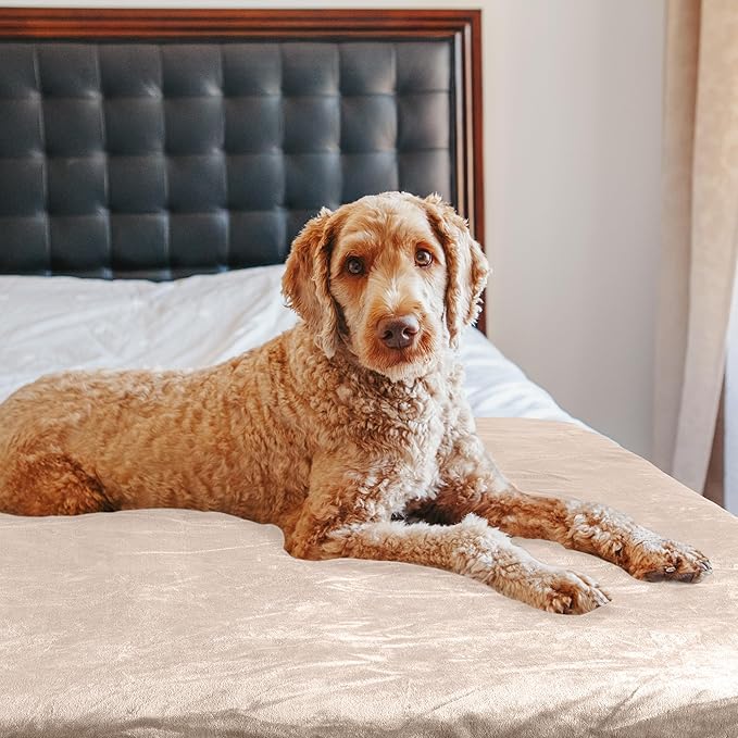 PETMAKER Dog Blanket - 60x80in Reversible Sherpa Blanket - Throw Blankets for Bed, Couch, Crate, or Car - Machine Washable Puppy Essentials (Tan)