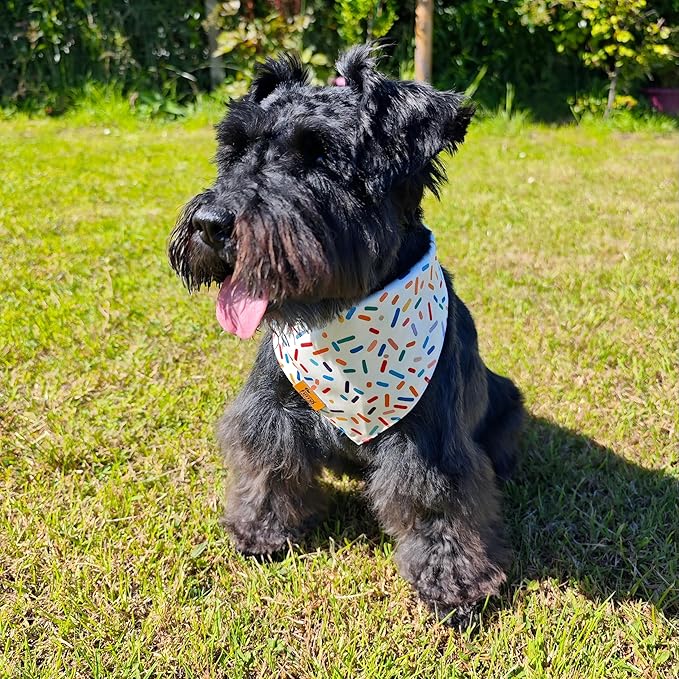 Birthday Dog Bandanas Medium Large, Colorful Sprinkle Stripes, Reversible Soft Breathable Adjustable Scarf for Small Medium Large Dogs Boy Girl Party Outfit Accessory FW2