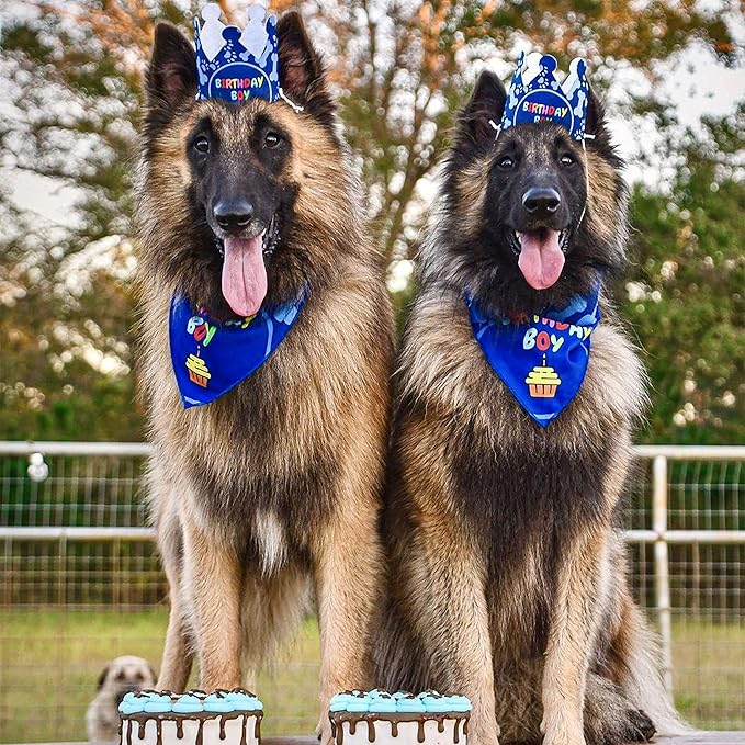Dog Birthday Party Supplies - Bandana Set with Party Hat, Crown and Banner - 'It's My Birthday Mother Puppers' for Medium, Large Dogs