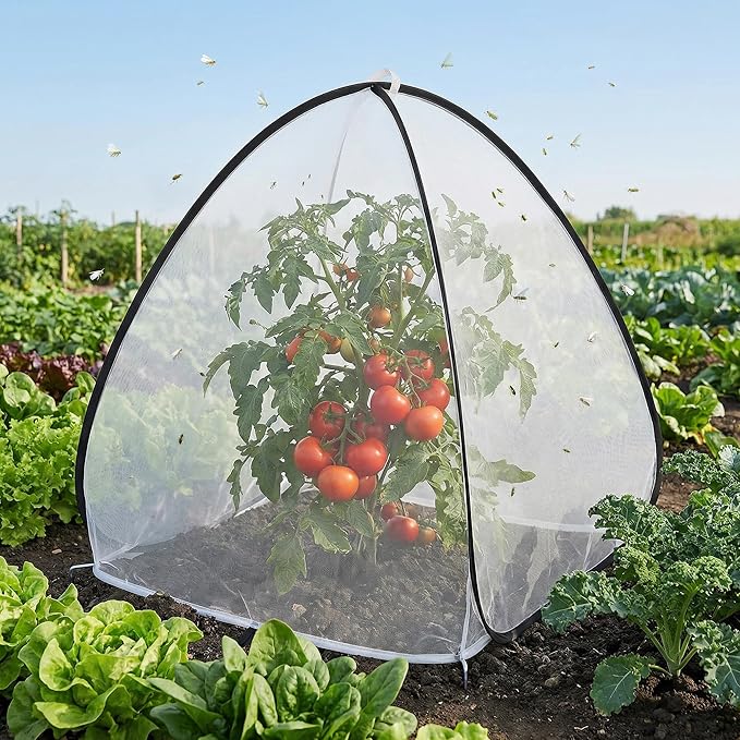 2 Pcs Pop Up Insect Barrier Plant Cover Tent, 30 x 28 x 28 Inch Foldable Garden Plant Protectors Mesh Enclosure, Garden Net Cage Bird Insect Guard Cover for Protecting Plants Fruits Vegetables