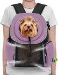 PetAmi Adjustable Cat & Dog Front Chest Carrier Backpack, Ventilated for Hiking & Camping, Max 10 lbs, Purple