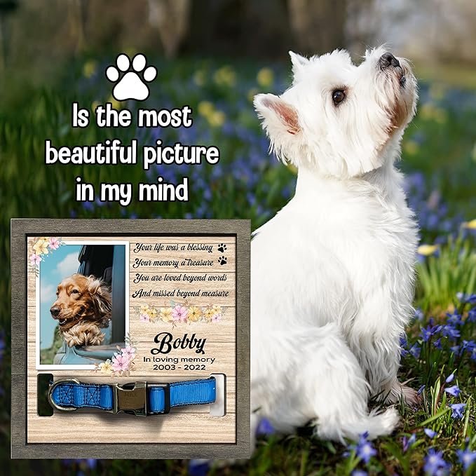 Memorial Gifts Customized Dog Picture Frame Dog Loss Sympathy Gift Personalized Memorial Plaques Personalized for Pet Passed Cat Picture Frame Best Ever Pet Loss