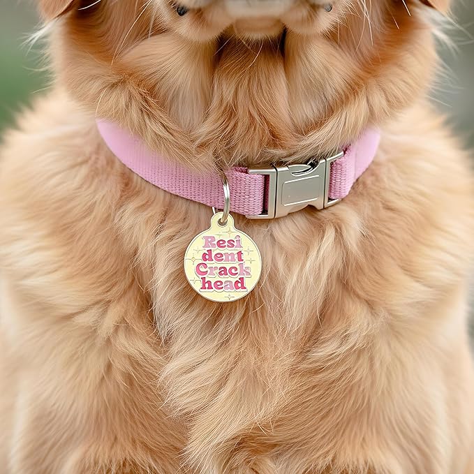 Bad Tags Personalized Dog and Cat ID Tags in 25+ Designs and 2 Sizes - 5 Lines of Custom Engraved Text - Funny Cute Personalized Pet Tags (Resident Crackhead - Yellow, Small (1 inch))