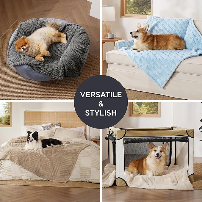 Bedsure Dog Blanket for Medium Dogs Washable - Fluffy Fuzzy Puppy Cat Blanket with Premium 300GSM Coral Fleece Soft for Pet Kitten Doggy, Blue, 30x40IN