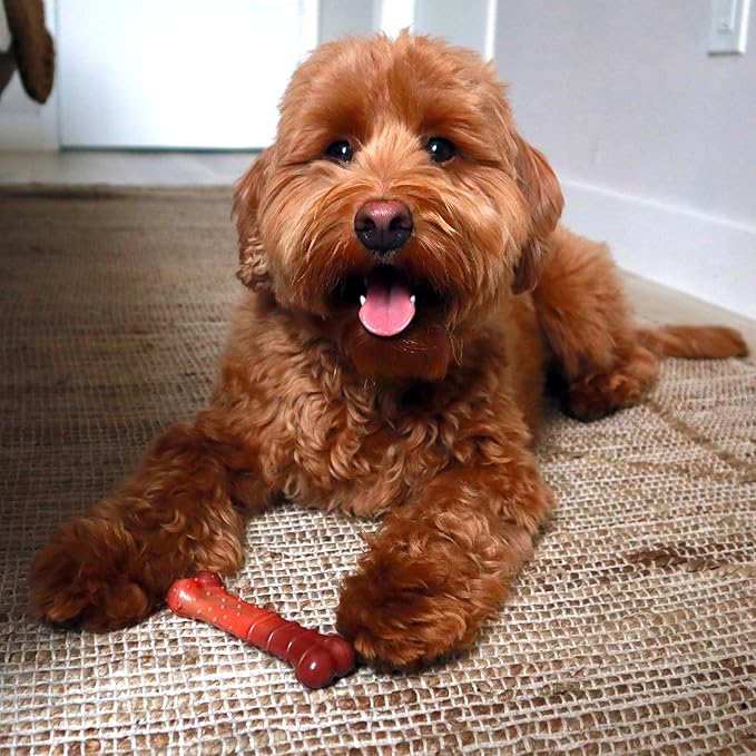 Nylabone Textured Bone Power Chew Toy for Dogs, Durable & Tough Dog Toys for Aggressive Chewers, Beef Jerky Flavor, Small Dogs - Up to 25 Ibs, 1 Count