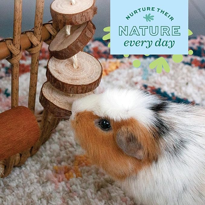 Oxbow Enriched Life Natural Dangly Party Pack, Rabbit Toys, Guinea Pig Toys, Enrichment for Bunny, Guinea Pig, Hamster Stuff, Rabbit Enrichment, Chinchilla, Rat, Chinchilla Cage Accessories